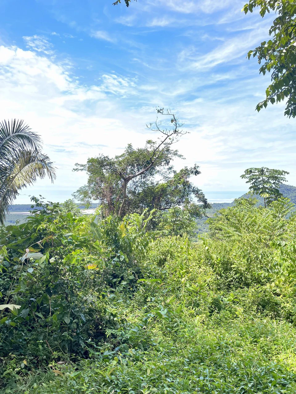 TROPICAL MASTERPIECE – 61.78 ACRES OF OCEANVIEW BLISS WITH WATERFALL: Mountain Development Parcel For Sale in Tres Rios - Gallery image 26