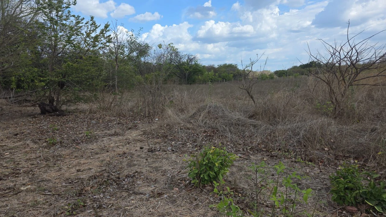 Property for Sale Near Liberia Airport with High Exposure and 60 Meters Frontage on Route 21, with Public Utilities - Gallery image 2