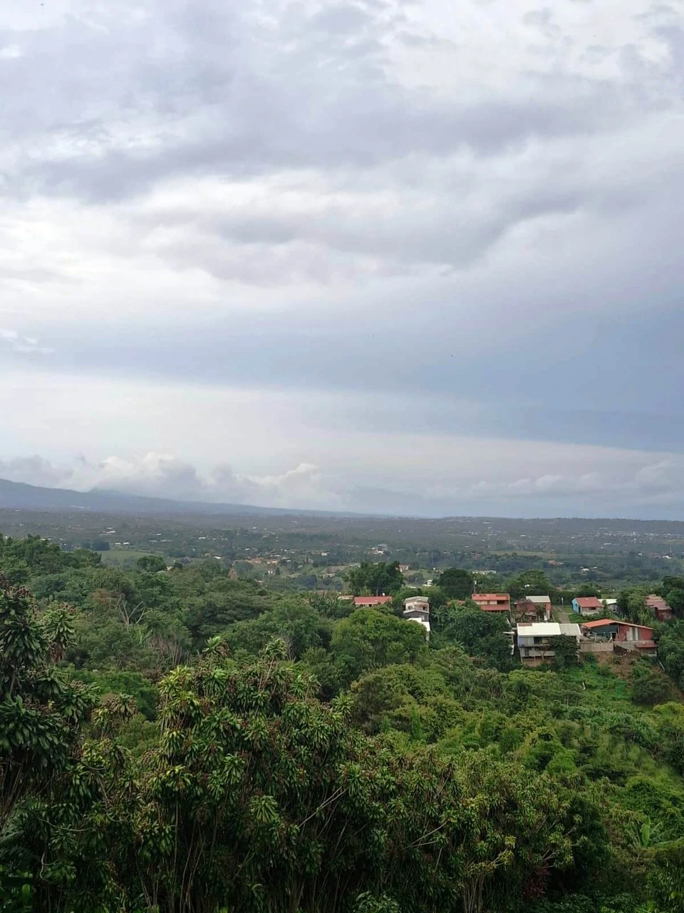 Moutain Lot: 6,891 m2 with City Views! - Gallery image 3