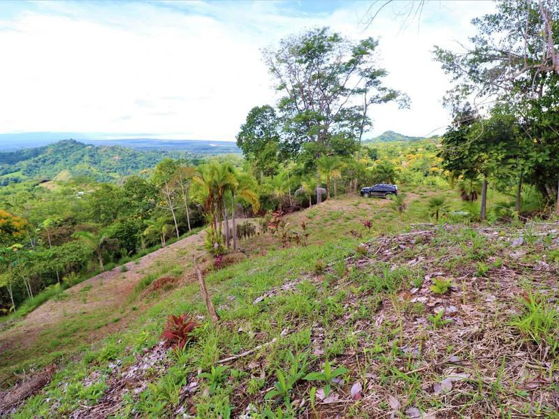 Captivating 3.15-Acre Property: Huge Pricedrop! Firesale Oceanview Lot in Tres Rios - Gallery image 29