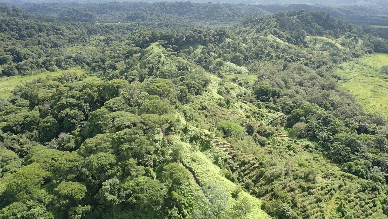 60 Acre Fully Sustainable and Impactful Conservation Initiative Near Golfito: Mountain Multi Unit Building For Sale in Golfito - Gallery image 11