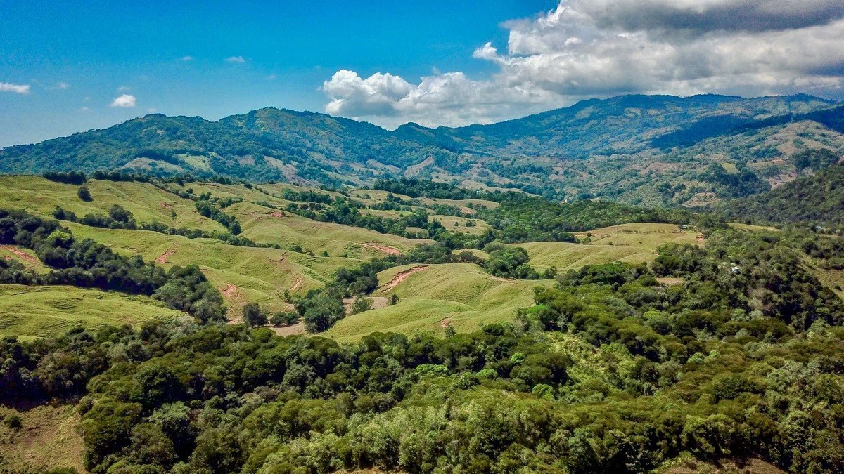 8.77 ACRES – Private Land Just 20 Min to Dominical, Beautiful Mountain Views, Legal Water, Electricity, Public Road, Private Setting, Ready to Build!!!! - Gallery image 3