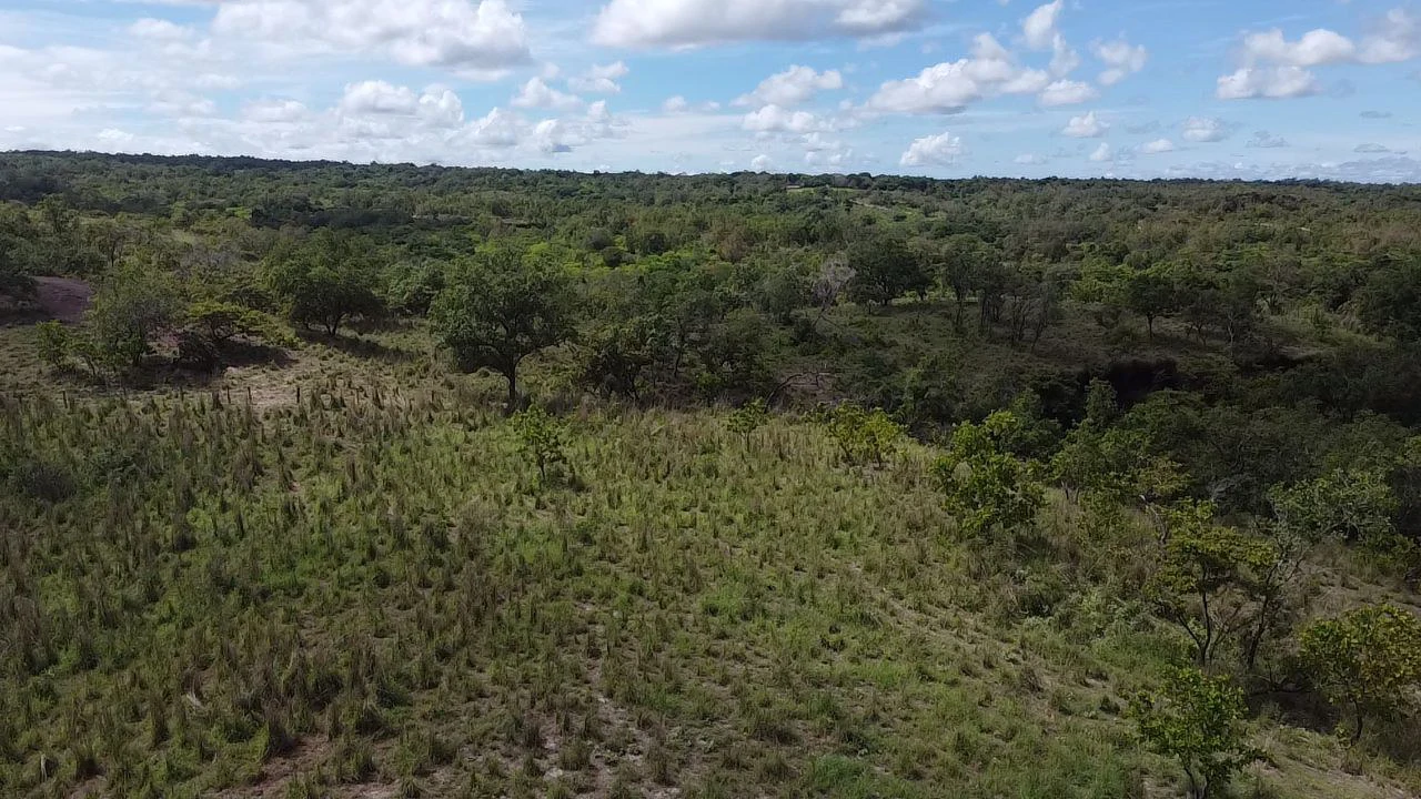 Riverfront, Mountain and Countryside Agricultural Land For Sale in Cañas Dulces - Gallery image 3