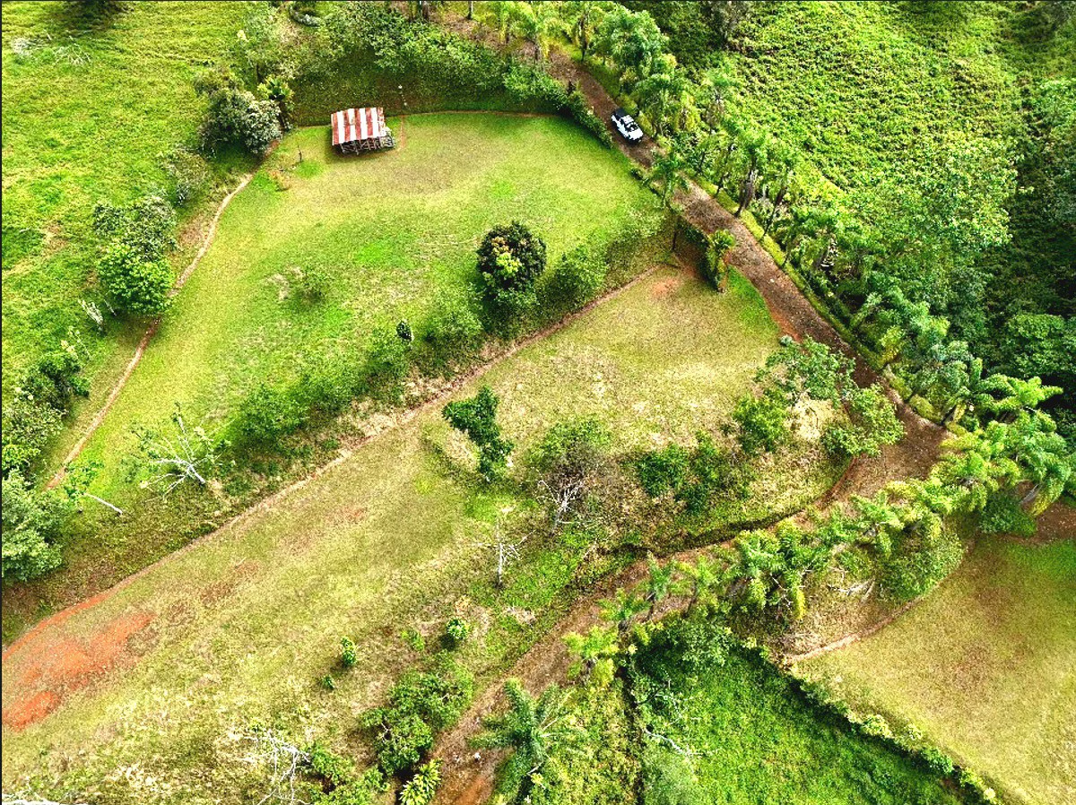 Mountain Home Construction Site For Sale in Miravalles - photo 3