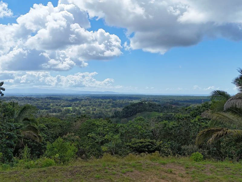 Gorgeous Ocean View Acreage in San Buenas - Gallery image 2