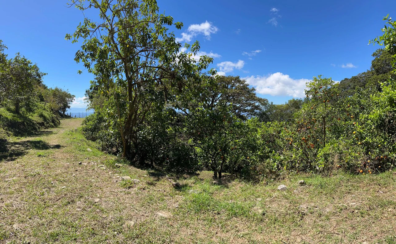A Lifestyle Canvas with Gulf Views: 5 Hectares Near Monteverde CE0224: Build Your Dream Lifestyle: 5 Hectares with a million dollar Ocean Views & Sunset Magic Near Monteverde - Gallery image 7