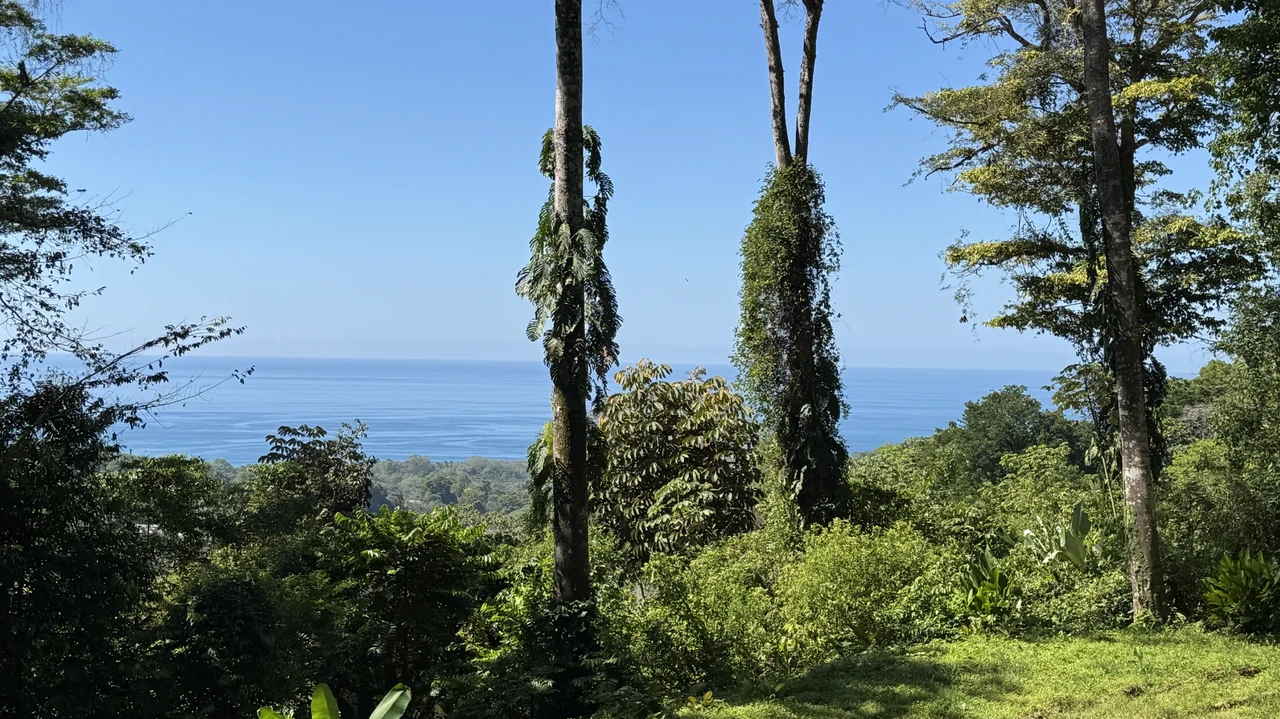 Two Ocean View Lots in Uvita – Easy Access and Large Building Sites - Gallery image 8