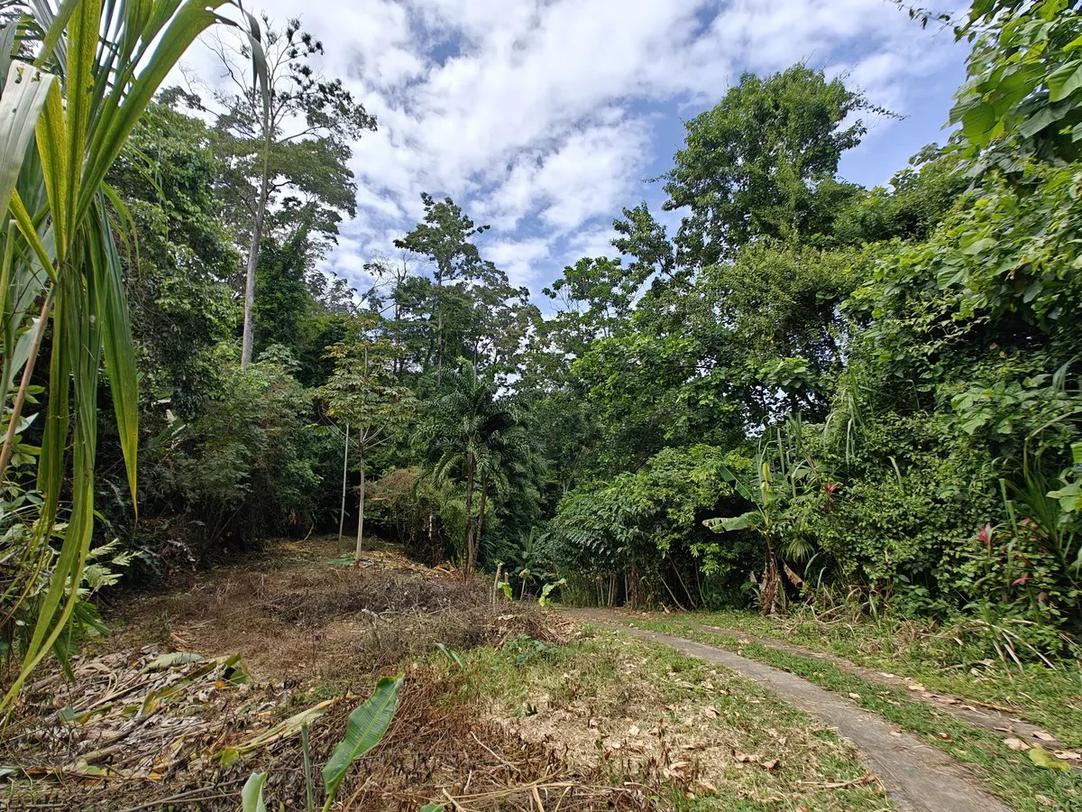 ID 708: Lot 3 - 5377 sqm Mountain Edge Sanctuary