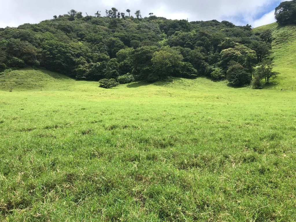 Beautiful property with lake view - Arenal - Gallery image 8