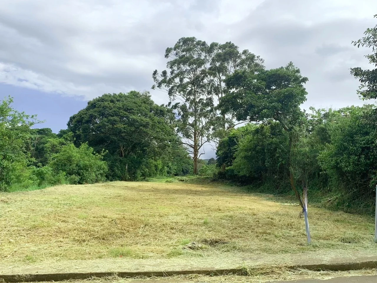 Palmares P440: Terreno Multiuso en Palmares: ¡Ideal para Invertir!