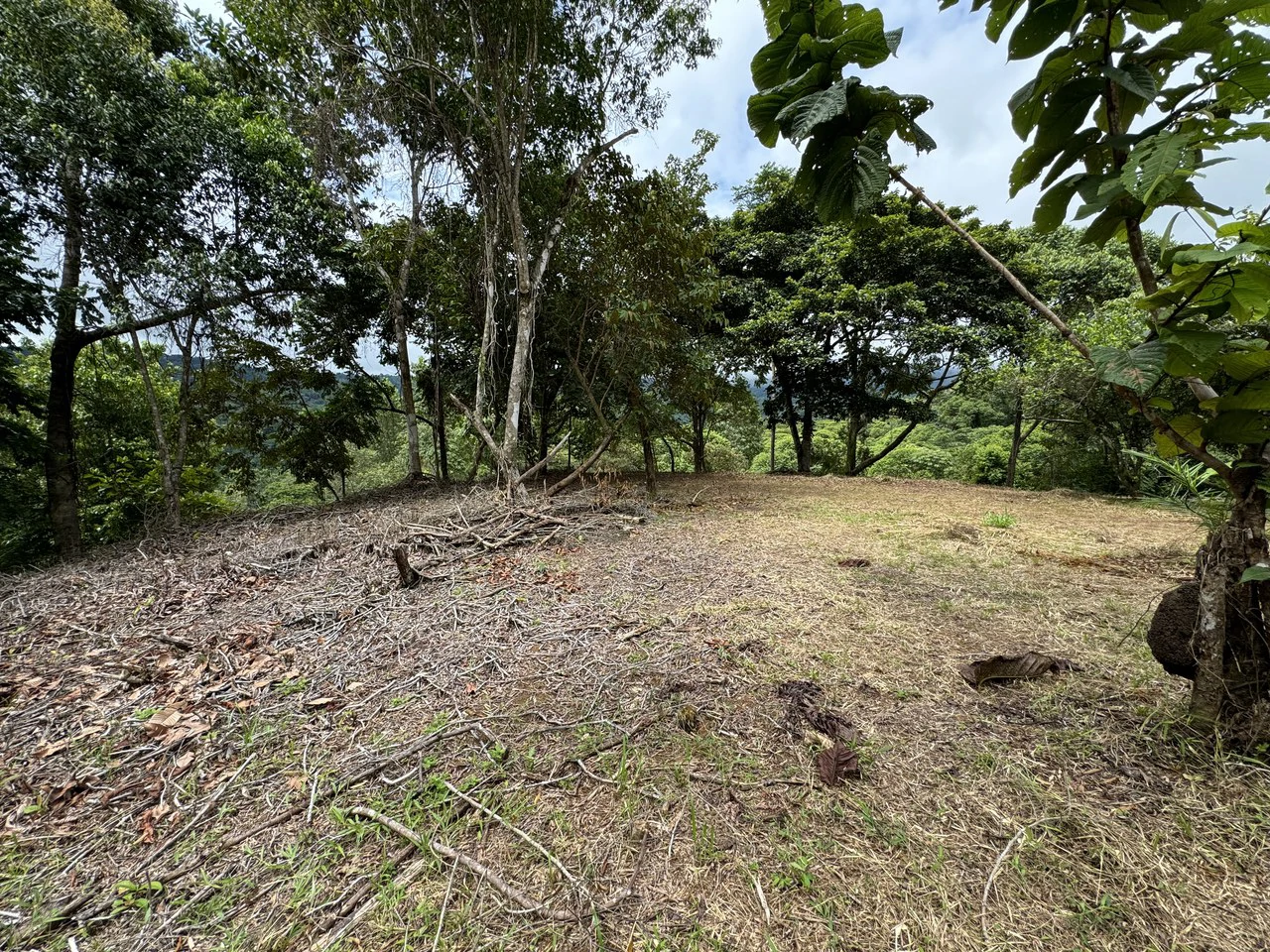 Diamante Waterfall View Land in Dominical 2.9 Acres - Gallery image 11