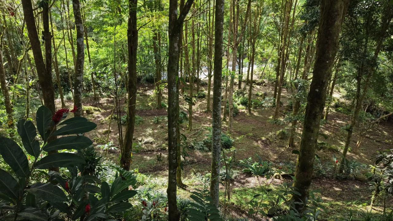 Mountain Home Construction Site For Sale in Santa Elena - photo 12