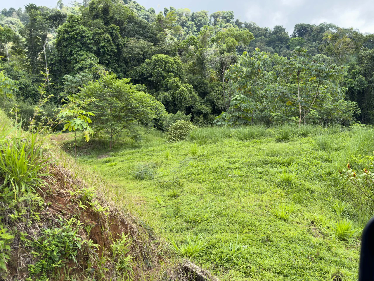 Hills of Portalon Ocean View Lot - Gallery image 4