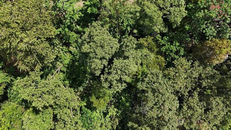 Luxury Gated Ocean-View Land Minutes from Manuel Antonio National Park and Marina - Gallery image 8