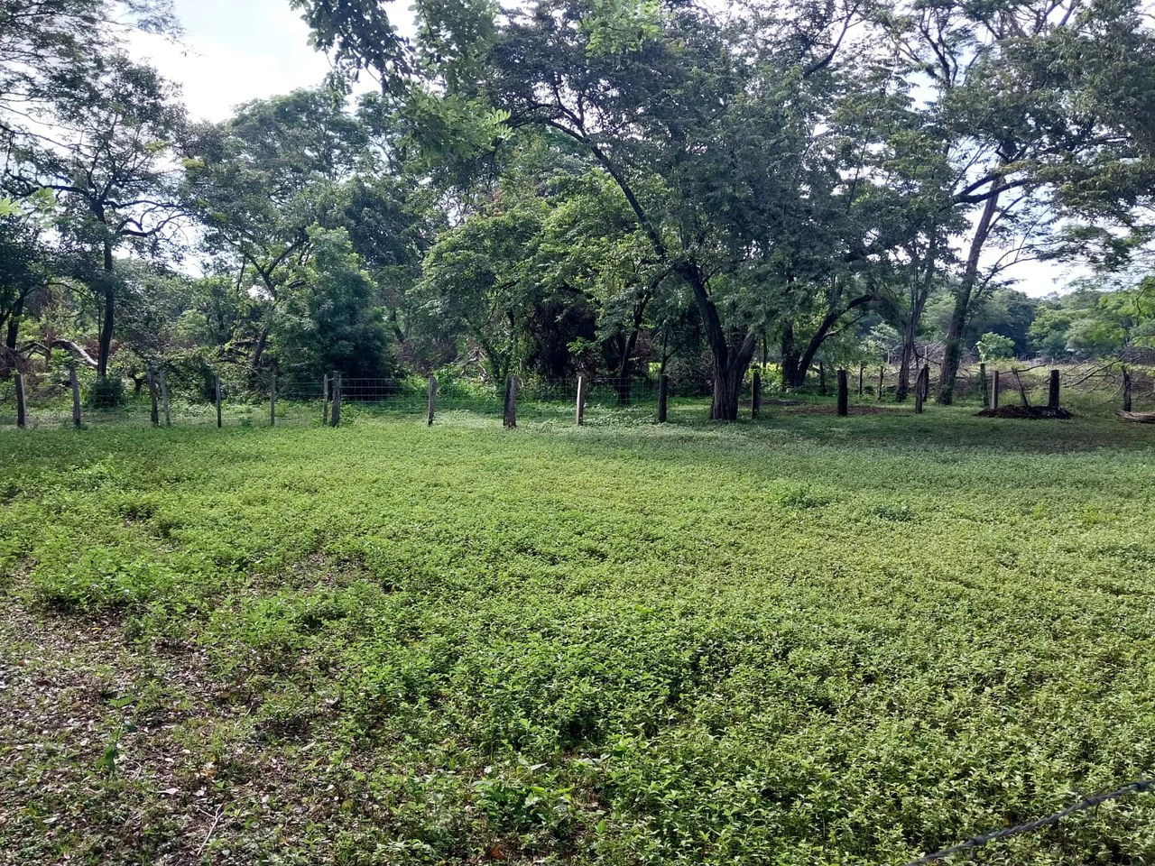 C-180: Idyllic Sardinal Home with 2730 sqm land for sale - Close to the beaches - Gallery image 18