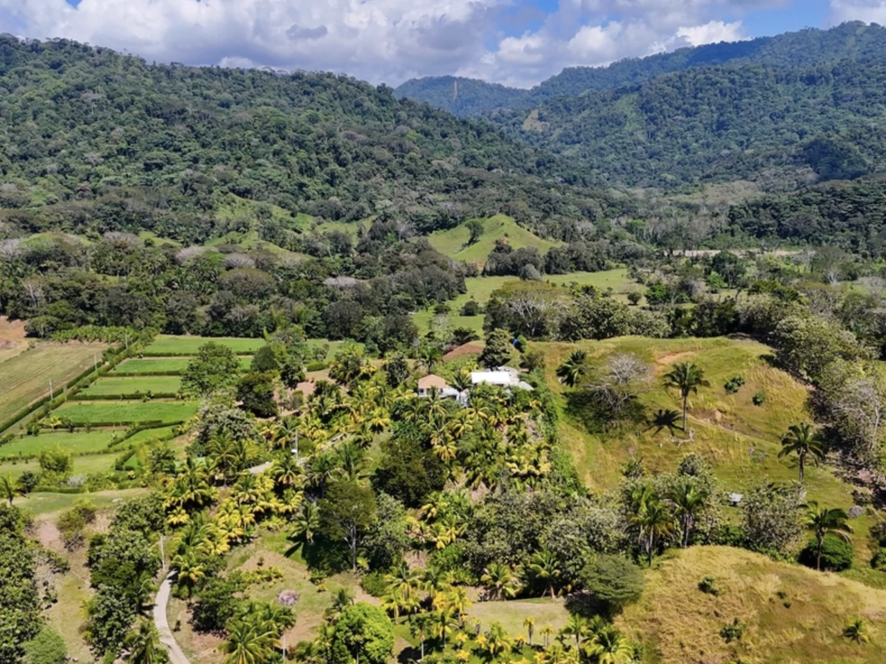 APARTMENT TOWER FOR SALE IN DOMINICAL, PUNTARENAS WITH OCEAN VIEW - Gallery image 21