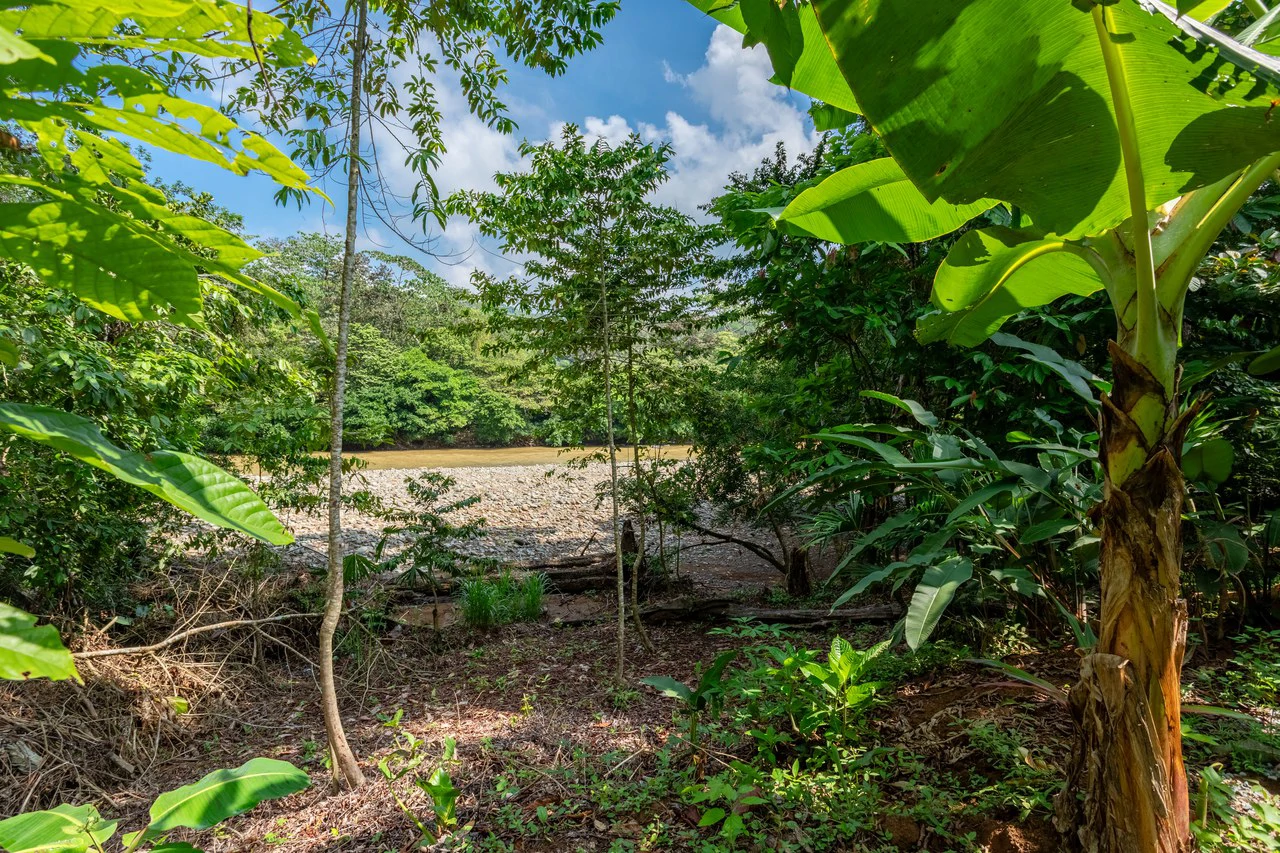 4 Unit Riverfront Micro Resort Minutes to Beach - Gallery image 28