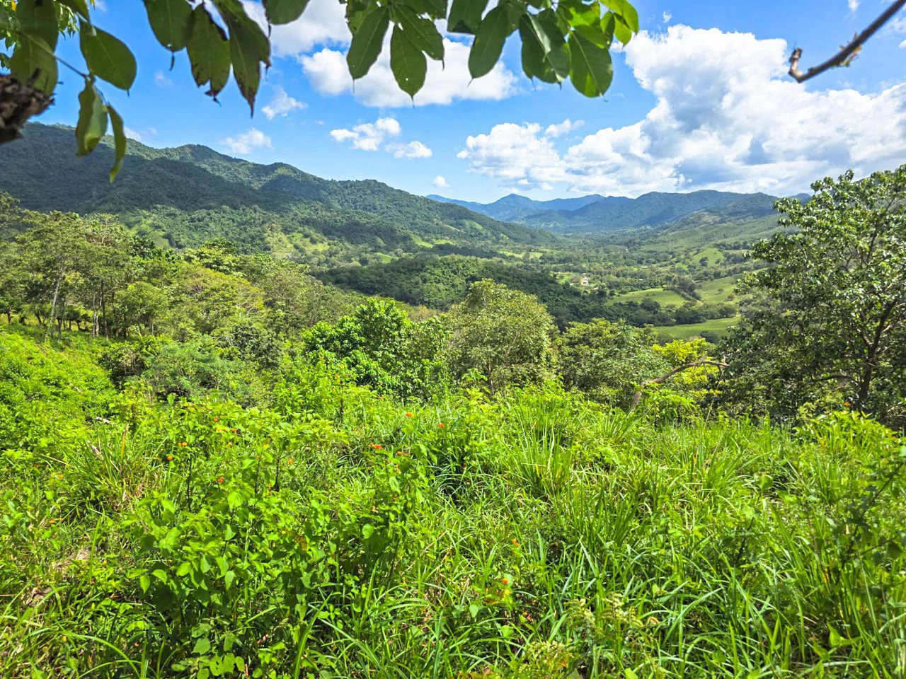 35 Acre Finca - A Natures Lover Or Developers Dream With Stunning Views - photo 6