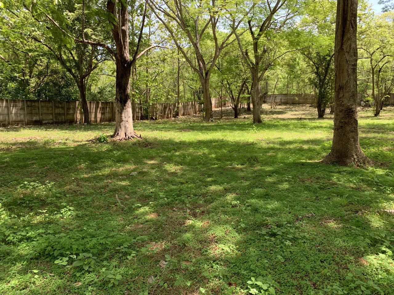 Conchal Bay: Ideal Lot To Build A Hotel Lodge By Conchal Beach - Gallery image 6