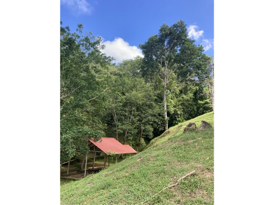 Venta de una hectárea con vivienda principal en Herradura: ¡Your Own Paradise in Herradura, Costa Rica! - Gallery image 9