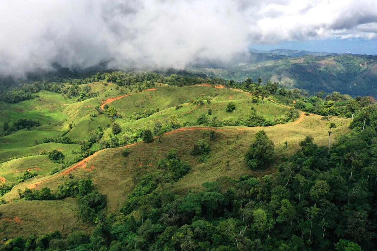150 Acre Cattle Ranch with Panoramic Views Above the mountains of Uvita - Gallery image 5