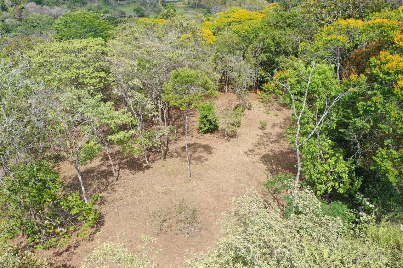 Elevated Two and a Half Acres with Cool Breeze in San Isidro del General - Gallery image 20