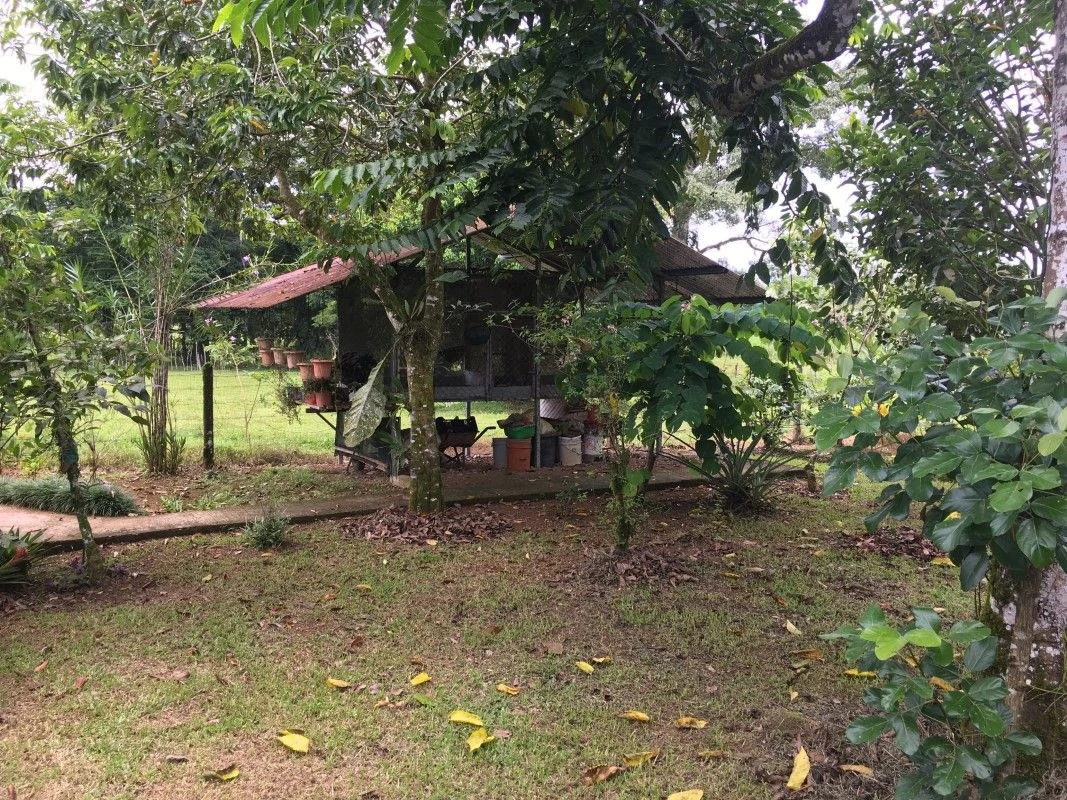 farm for sale Horquetas Sarapiquí Heredia Costa Rica - Gallery image 3