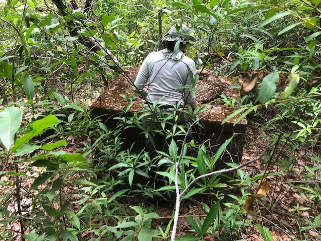 Mountain Farm for Sale in Liberia – Nature, Privacy, and High Investment Potential - Gallery image 32