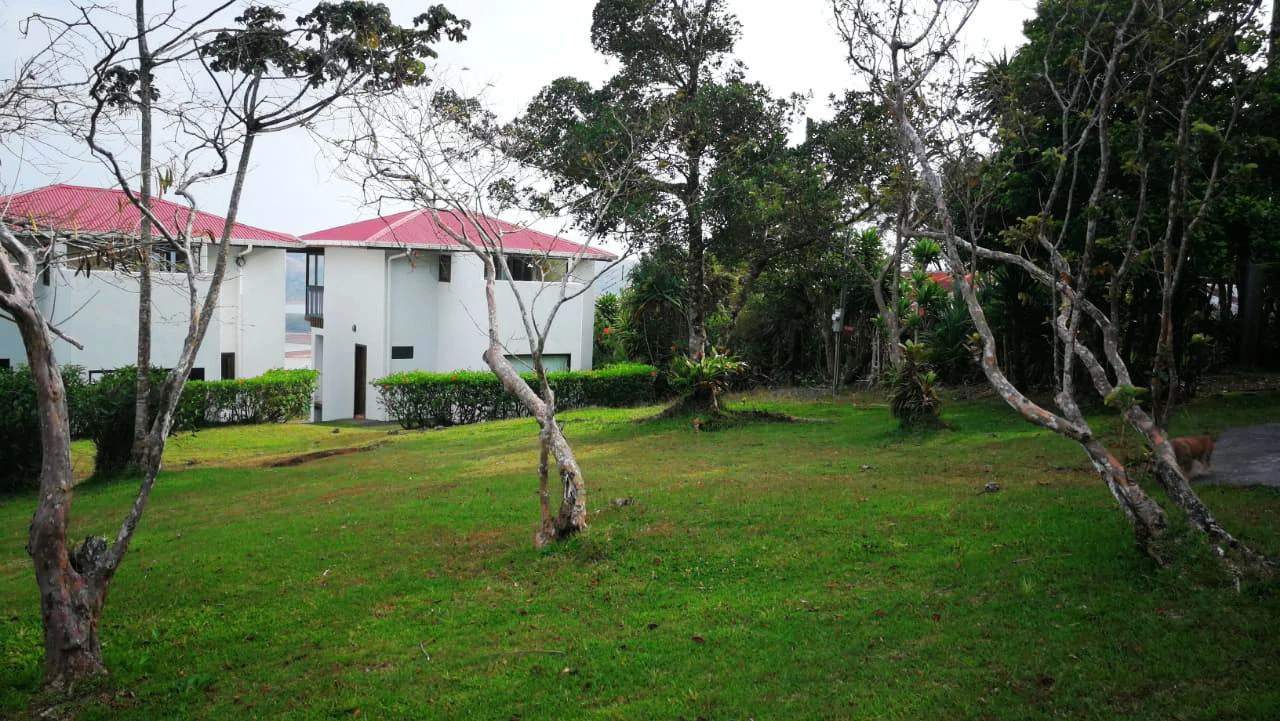 CASA VIENTO: Heaven on Earth - potential B&B or vacation rental - Gallery image 19