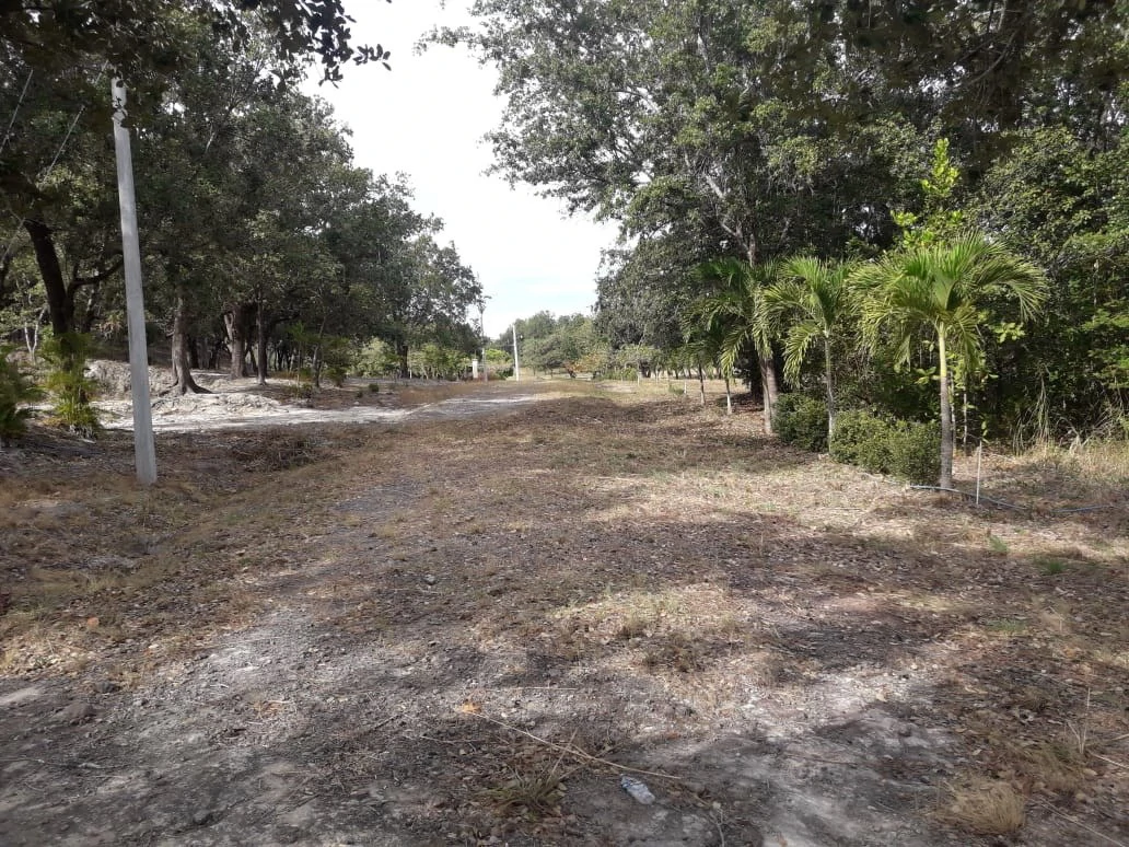Colorado River Paradise Farm for Sale - Just 10 Minutes from Liberia - Gallery image 5