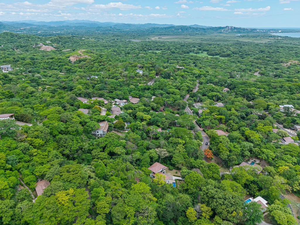 Lot 24 Cara Cara: Exceptional Forest Homesite in Las Ventanas de Playa Grande - Gallery image 8
