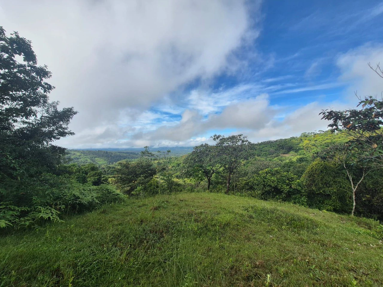 Propiedad en San Blas: Mountain Agricultural Land For Sale in La Linda General Viejo - Gallery image 12