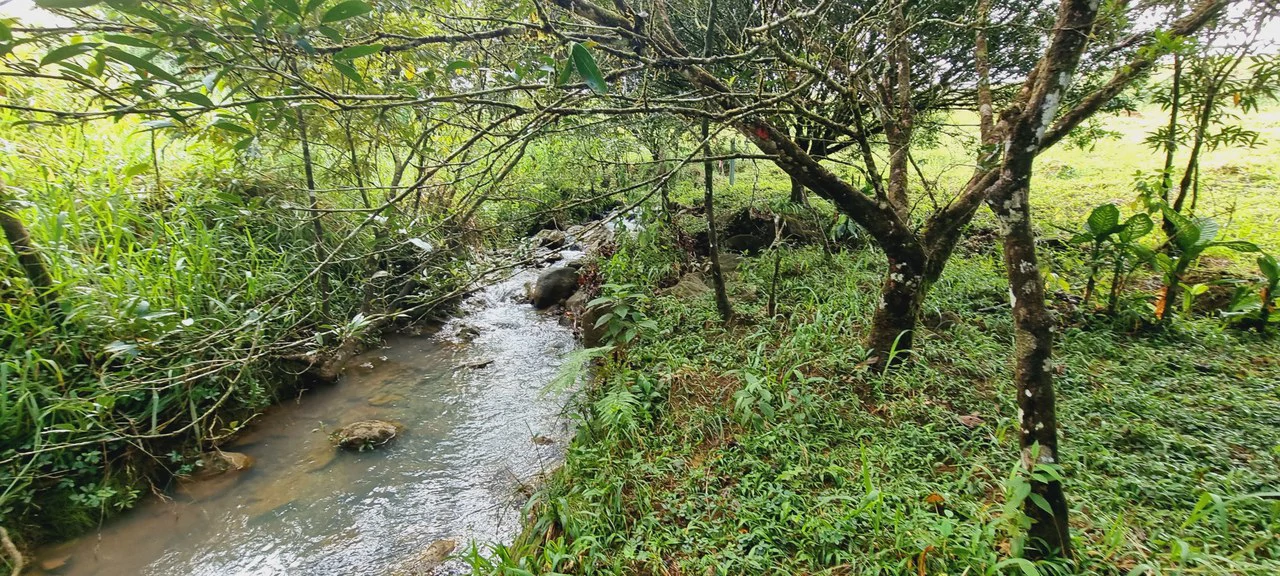 Lote 46 RISE: BEAUTIFUL 1.37-ACRE LOT WITH CREEK FOR SALE IN THE HEART OF THE RESIDENCIAL RISE, SANTA ELENA - Gallery image 7