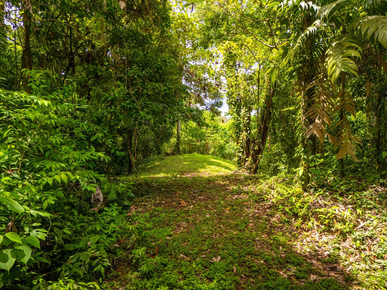Tropical Paradise in Cascada Sándalo, Tres Ríos Ocean & Mountain Views | Gated Community | Abundant Nature - Gallery image 11