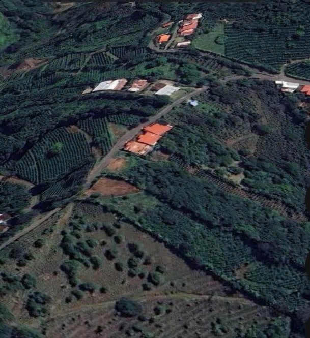 Moutain Lot: 6,891 m2 with City Views!