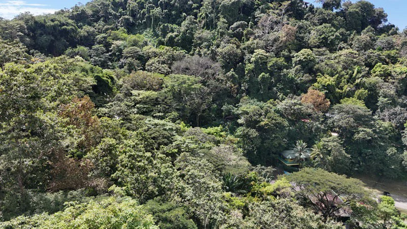 Luxury Gated Ocean-View Land Minutes from Manuel Antonio National Park and Marina - Gallery image 12
