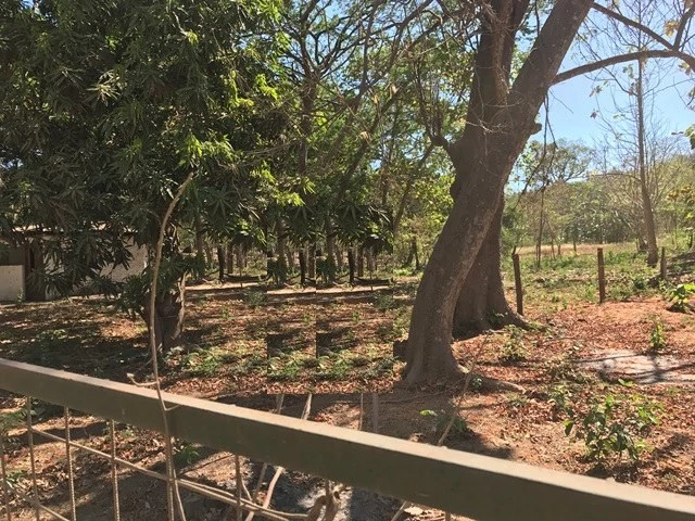 Big Property close to Playa Conchal