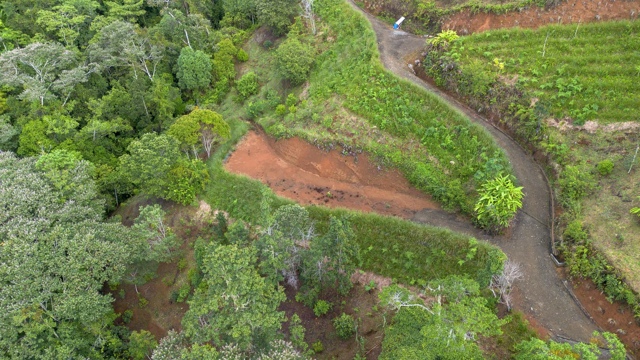 10.21 Acres with Views & Plantels – Pérez Zeledón - Gallery image 12