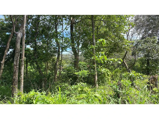 Building potential property for sale in Guadalupe, 5 minutes away from Liberia and 20 from the National Park of Rincon de la Vieja - Gallery image 9