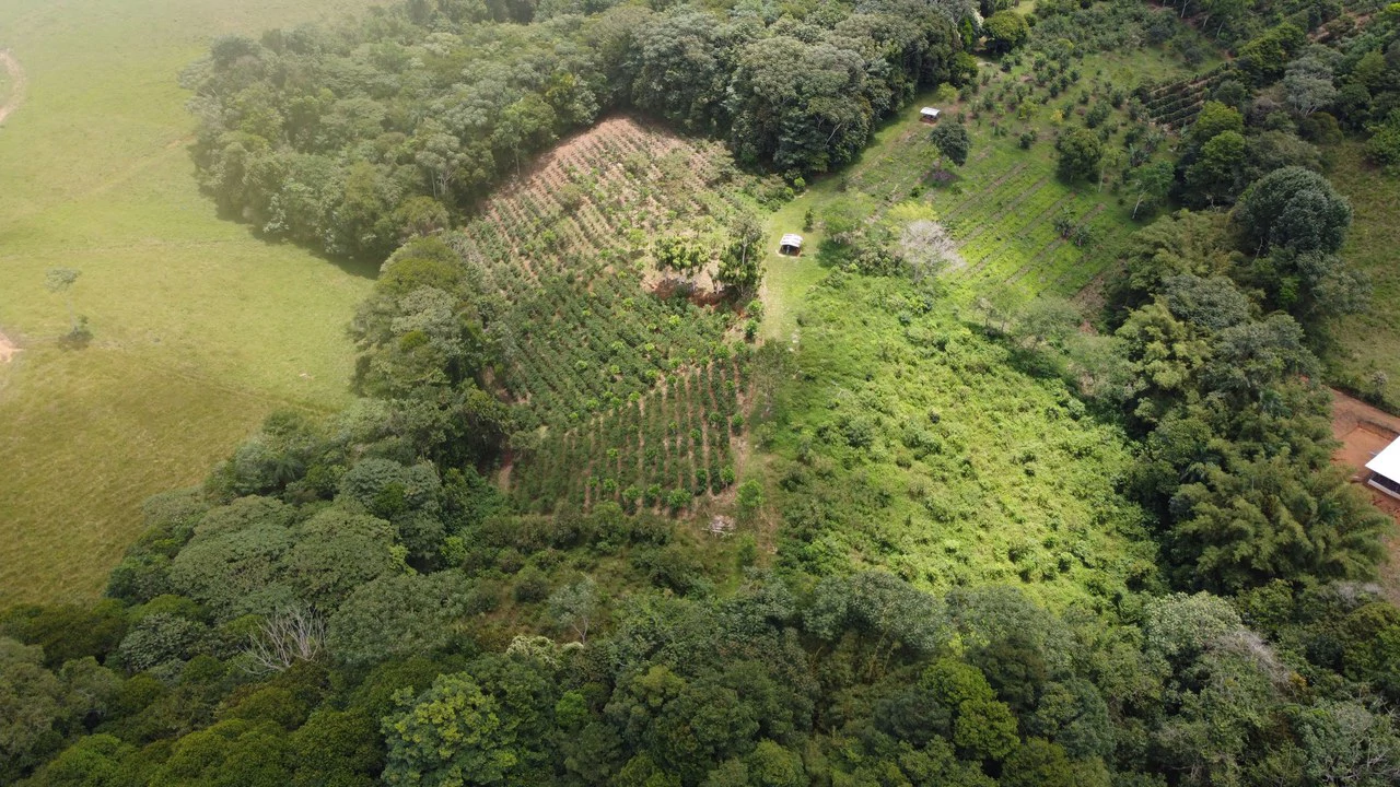 SE VENDE PROPIEDAD DE 5.5HA, SANTA MARTA DE CAJÓN, PEREZ ZELEDON.: Mountain Home Construction Site For Sale in Cajón - Gallery image 16