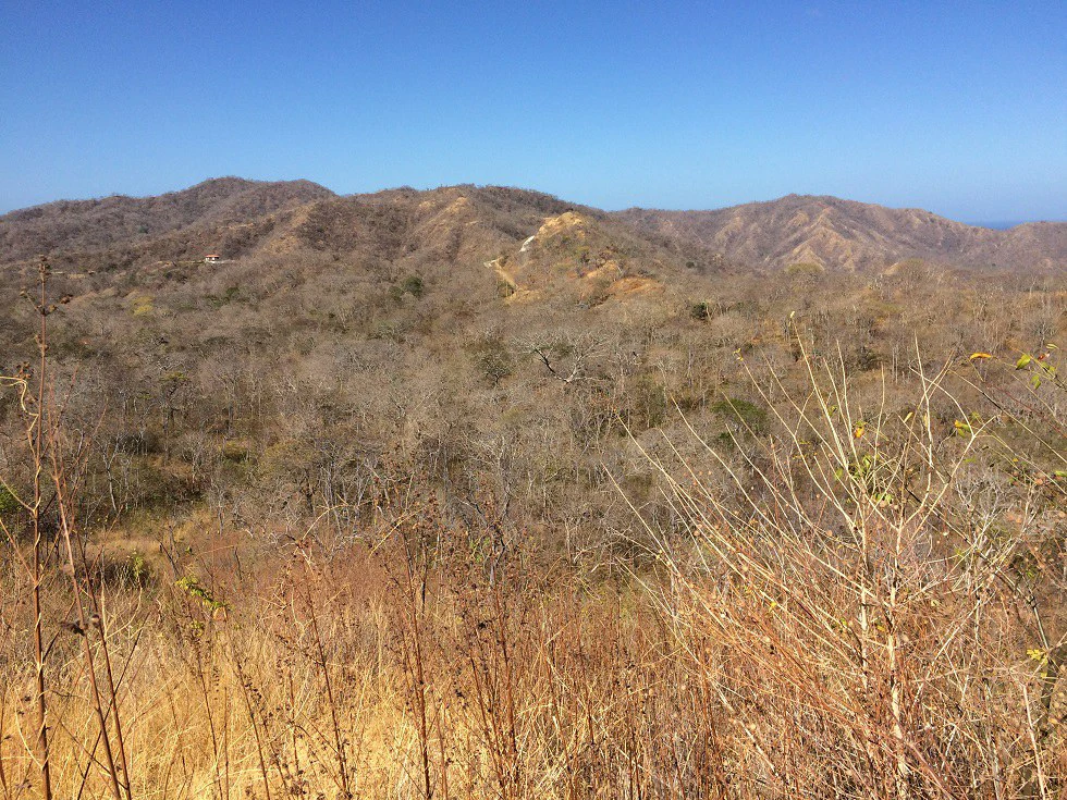 Ocean view property in the area of Guanacaste, great commercial opportunity near the Hotel Riu - Gallery image 9