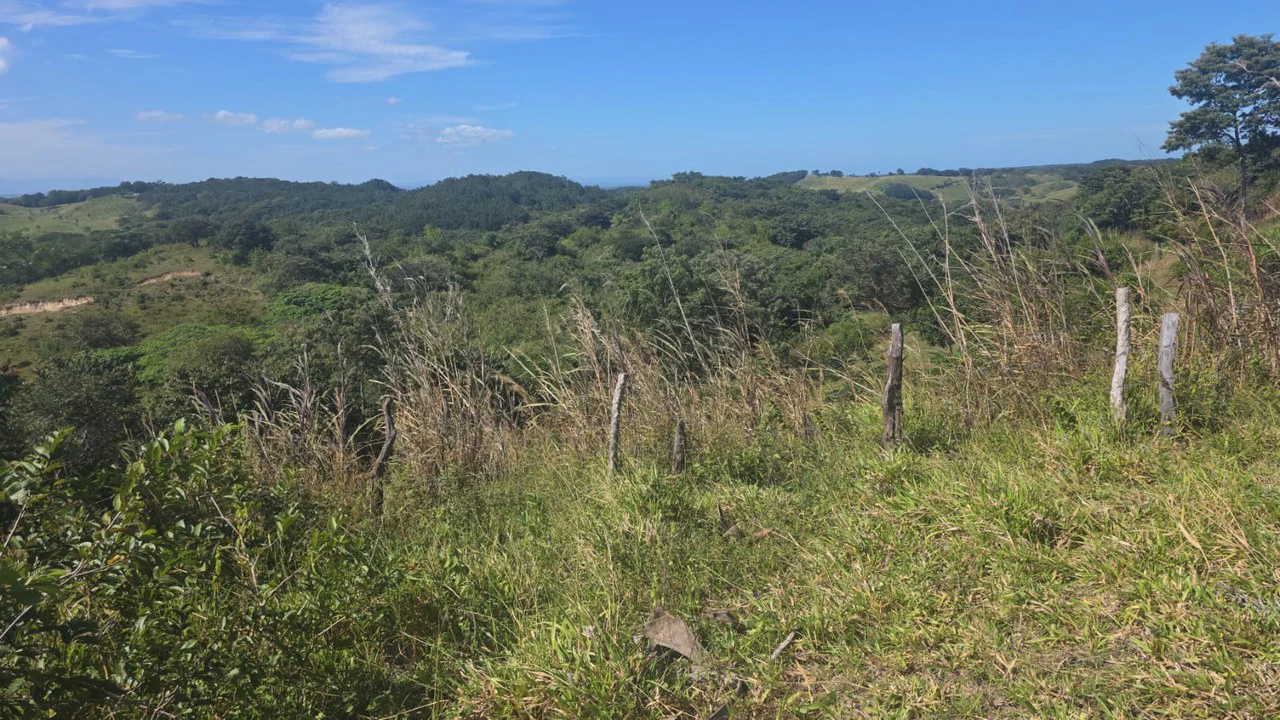 Mountain Property for Sale with charming 360º views of Guayabos Valley and the Volcanoes - Gallery image 40