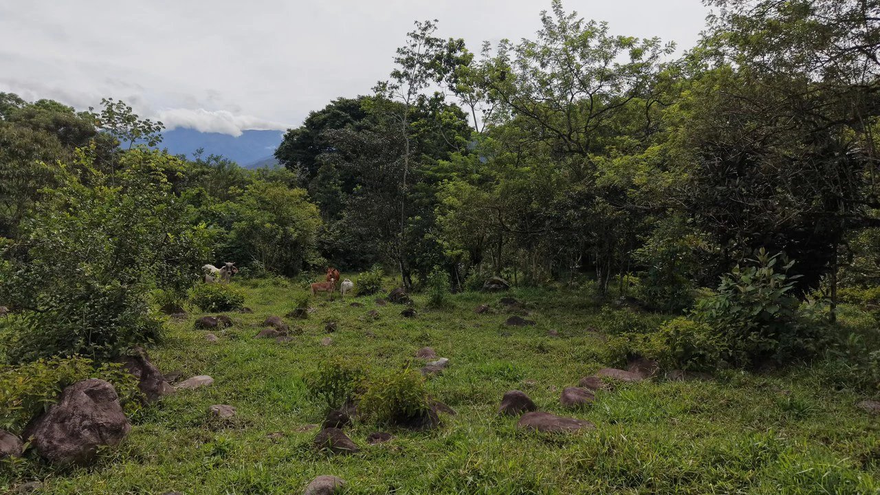 Mountain Home Construction Site For Sale in San Isidro del General - photo 15
