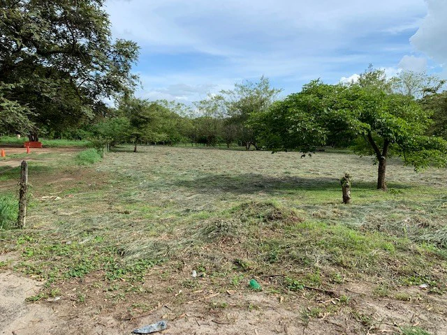 Sale commercial lot in front of the transito Liberia Guanacaste - Gallery image 7