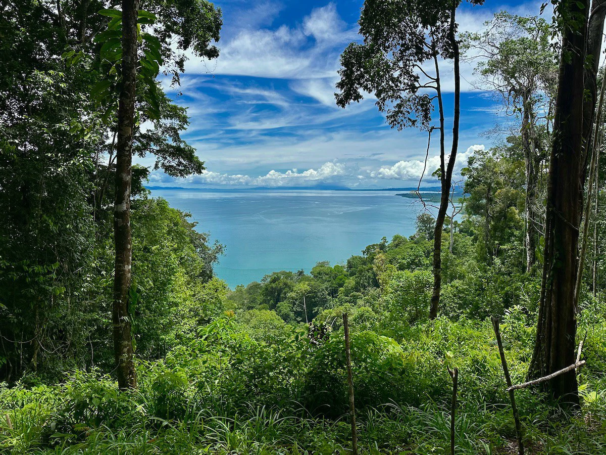 Spectacular Coastal Rainforest Estate Property - Gallery image 21