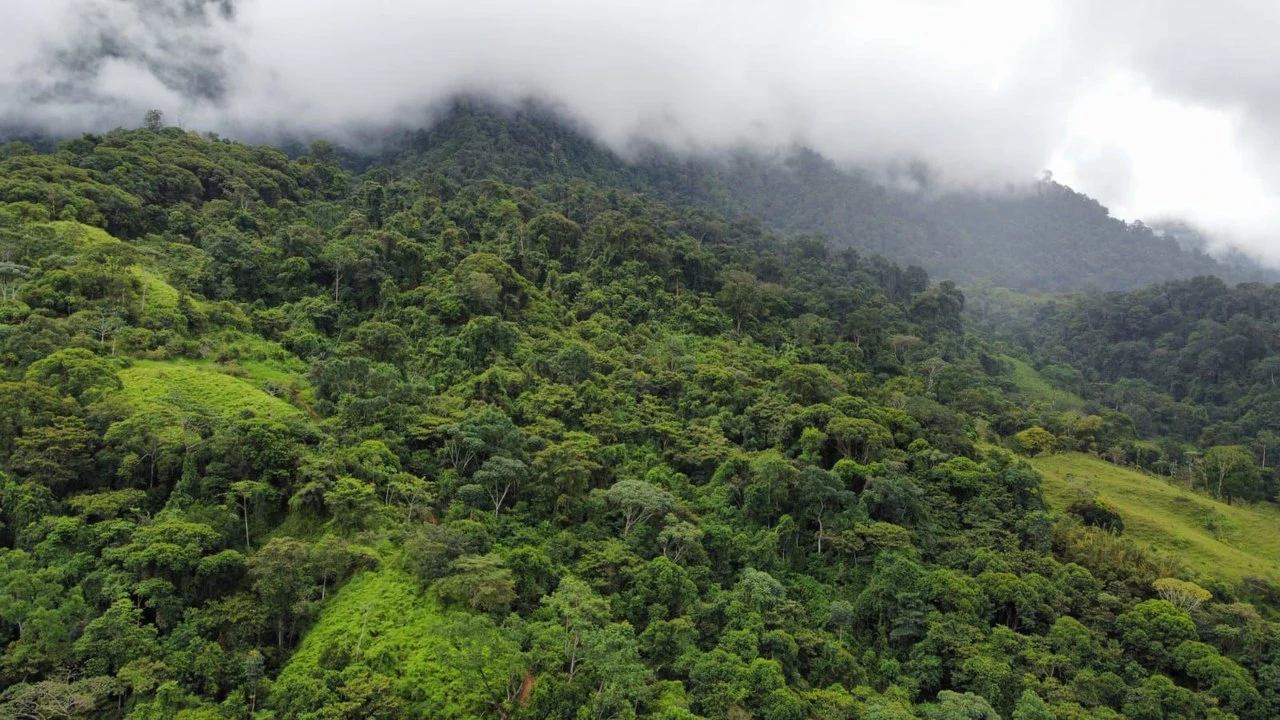 Se vende 39ha en Barú, Perez Zeledón: Mountain Home Construction Site For Sale in Barú - Gallery image 14