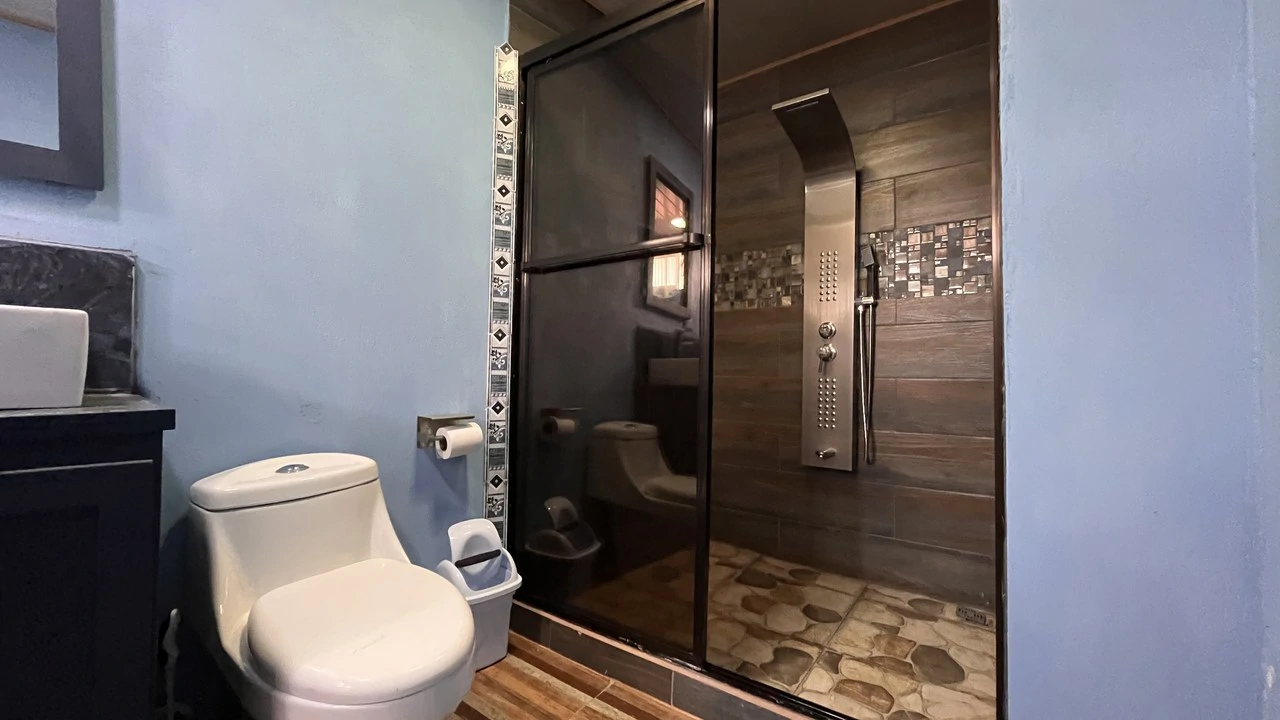 House For Sale in Daniel Flores - photo 23