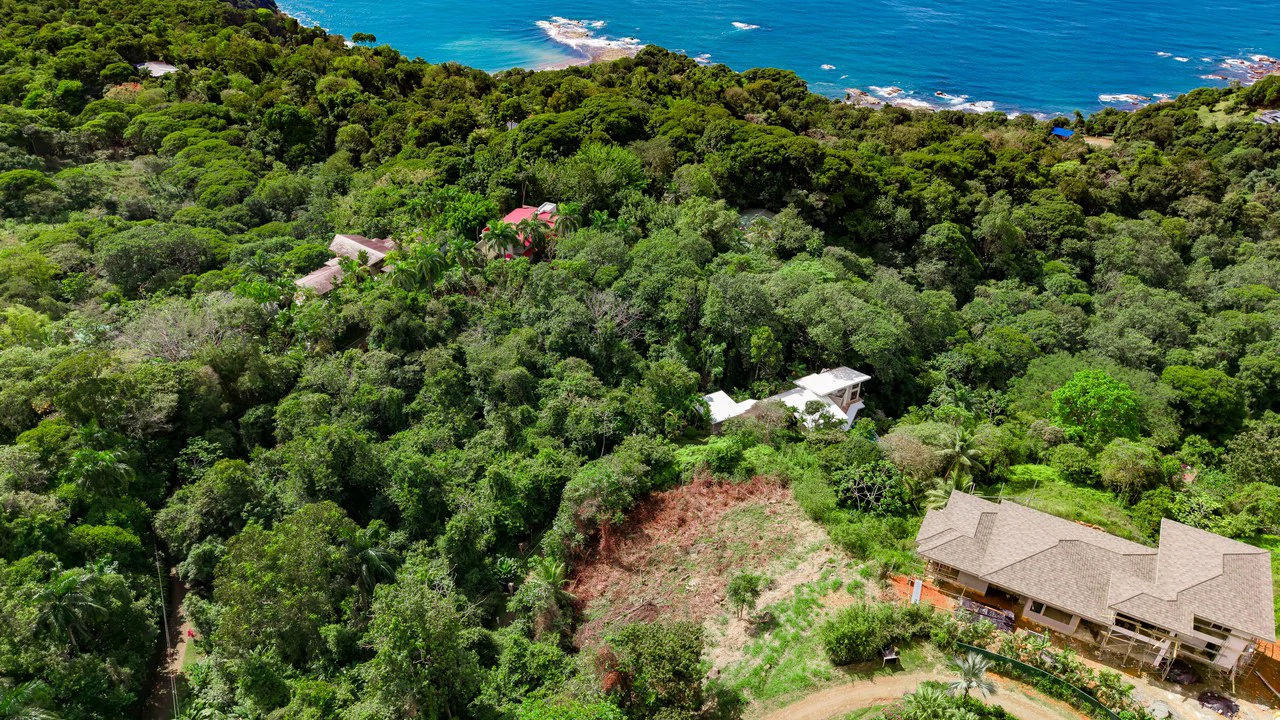 Luxury Ocean View Homesite in Escaleras Playa Dominical - Gallery image 13