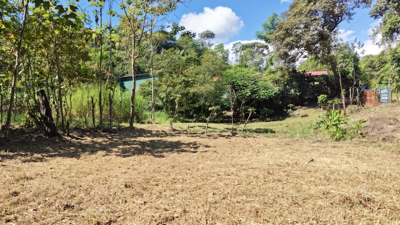 Home Construction Site For Sale in El Pilar - Gallery image 3