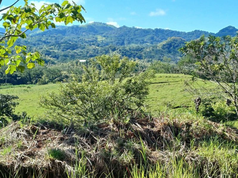 Lote Amanecer: Valley and Mountain View Lot Near Hojancha – Ready to go! - Gallery image 3